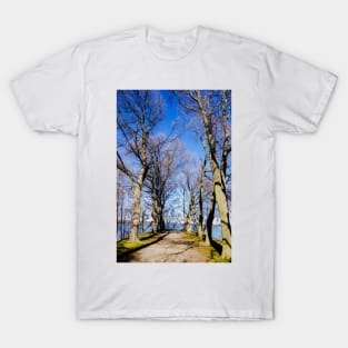 Bay view from Dundurn Castle T-Shirt